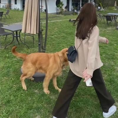 丛林里的少年